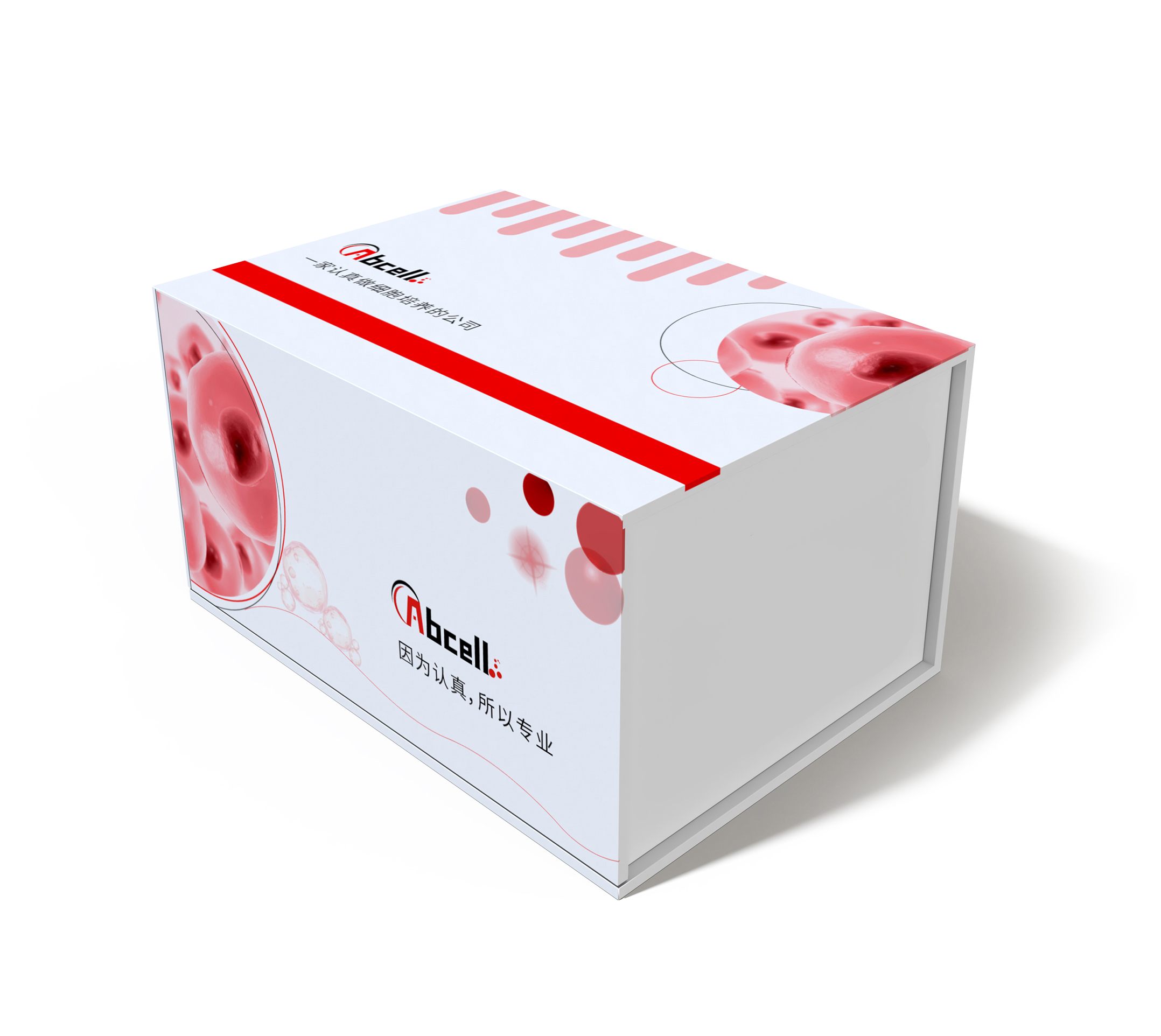 AML12(小鼠正常肝细胞)(STR鉴定正确)