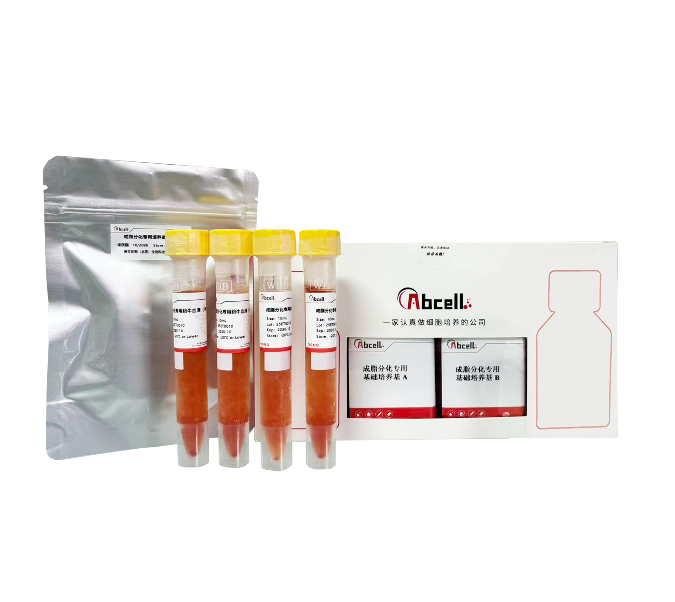 3T3-L1（小鼠胚胎成纤维细胞） 成脂诱导分化培养基